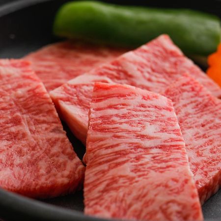 Tsuruya Ryokan Тойоока Екстер'єр фото
